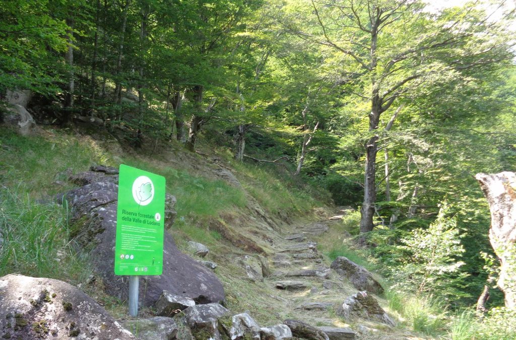 La Riserva forestale valmaggese è stata istituita nel 2010 (E.Stampanoni)