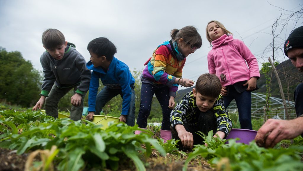 L’orto è uno straordinario strumento didattico (Ti-Press)
