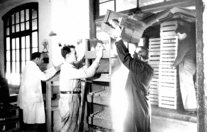 Ripresa dell’interno del magazzino