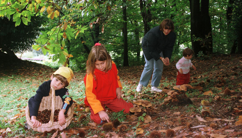 Un bel momento da passare in famiglia... (Ti-Press)
