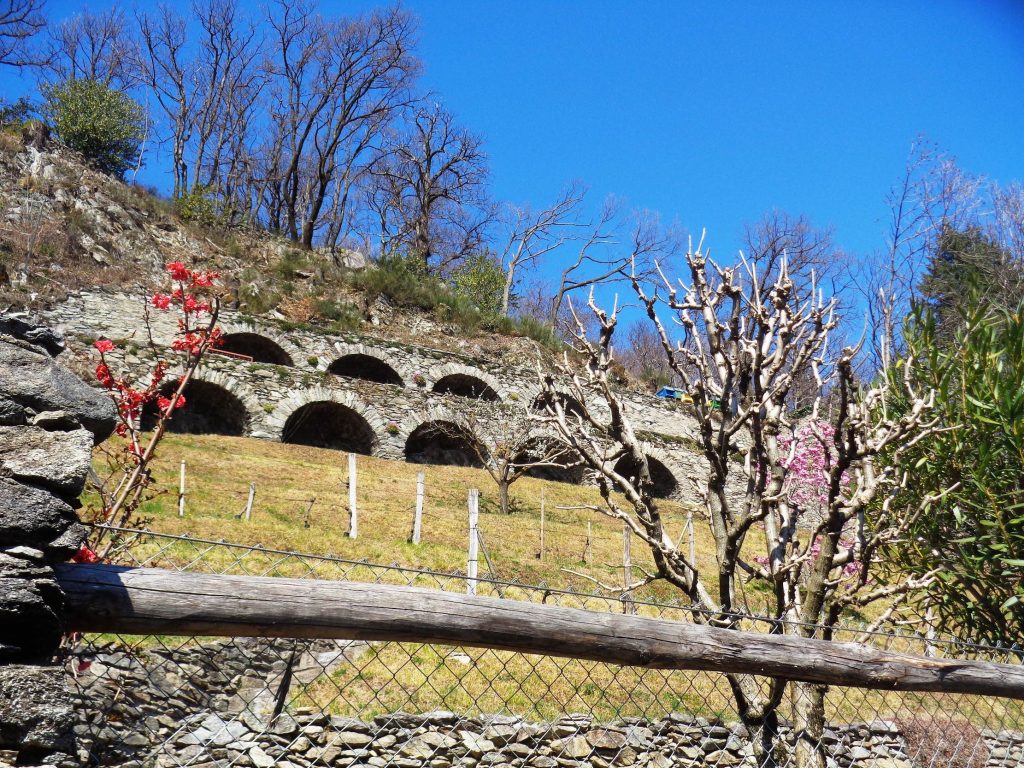 La Genovésa sulle pendici del Monte Barro in territorio di Torricella (E. Stampanoni)