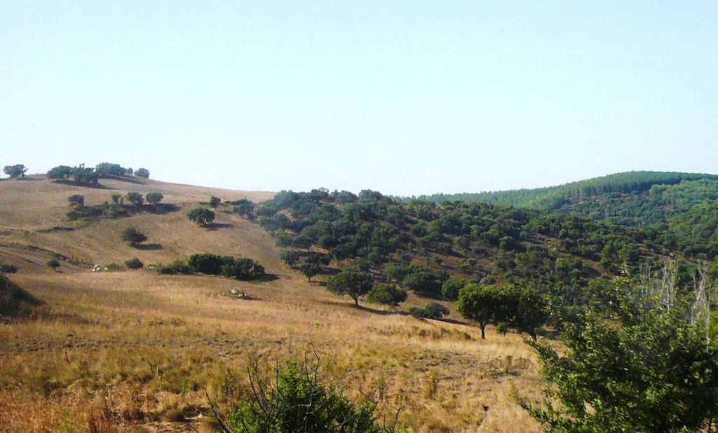 Trenino verde, paesaggio collinare subito dopo la partenza da Mandas