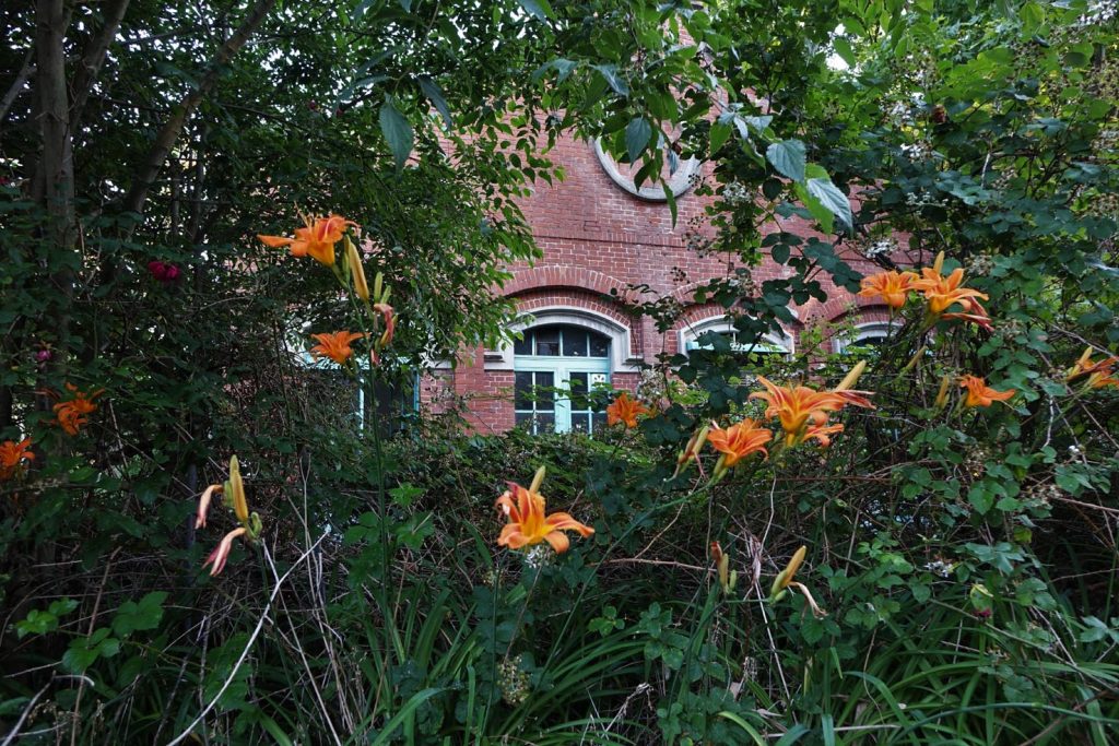 Un edificio dell'ex AEM, alla Bovisa