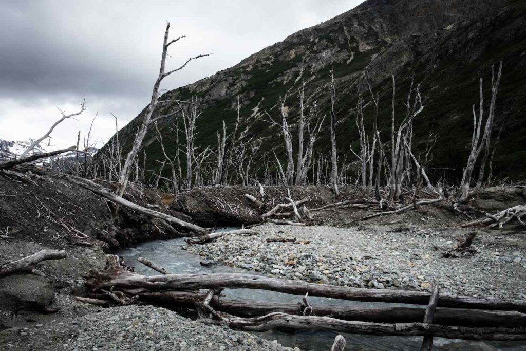 Parco Nazionale di Ushuaia (Stefania Prandi)