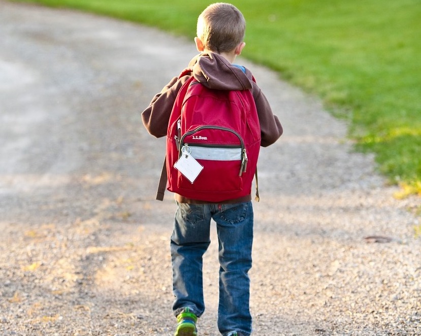 È auspicabile un rientro a scuola per convinzione, non per obbligo (Pixabay)