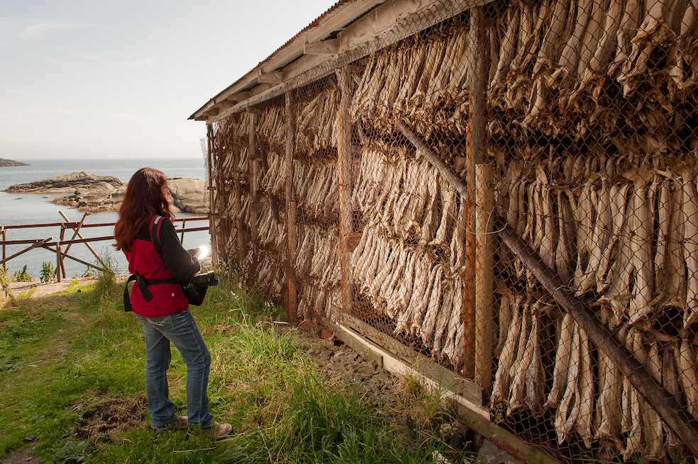 Museo dello stoccafisso nel villaggio di Å, isola Moskenes