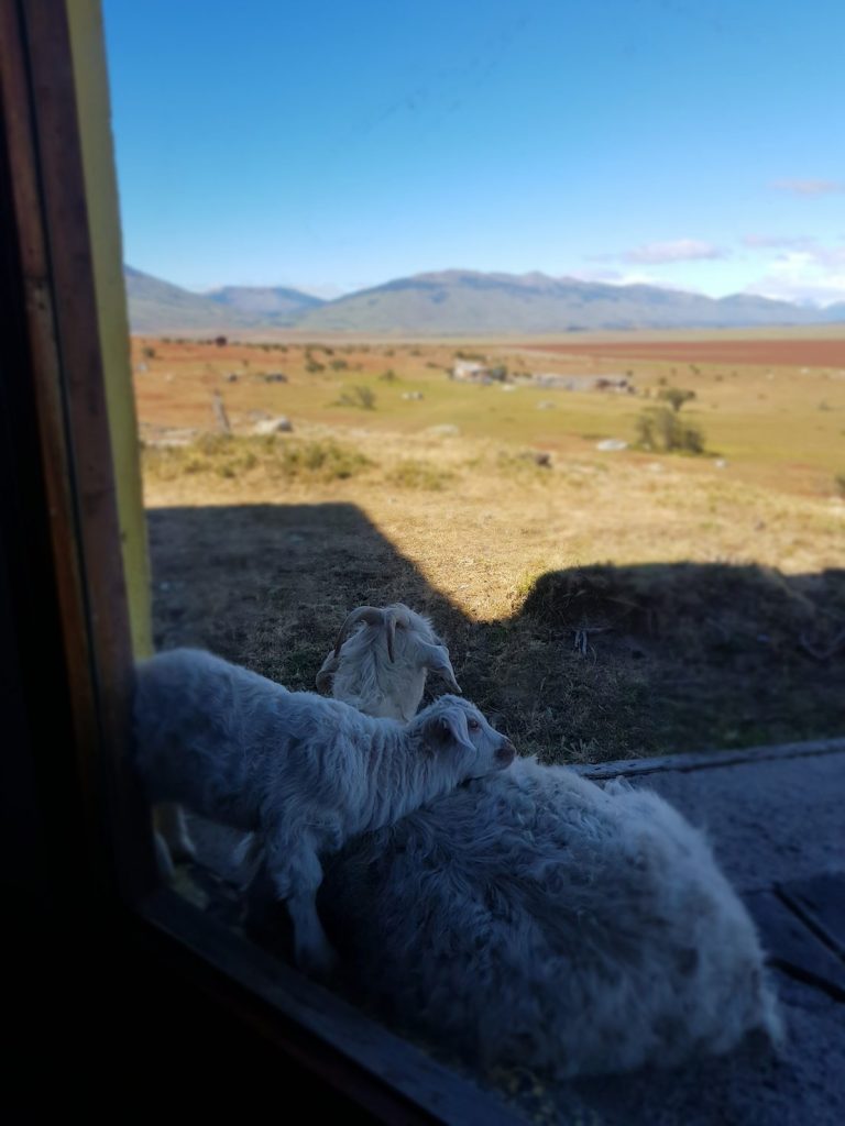 Vista su Estancia Anita (Giulia Rognoni)