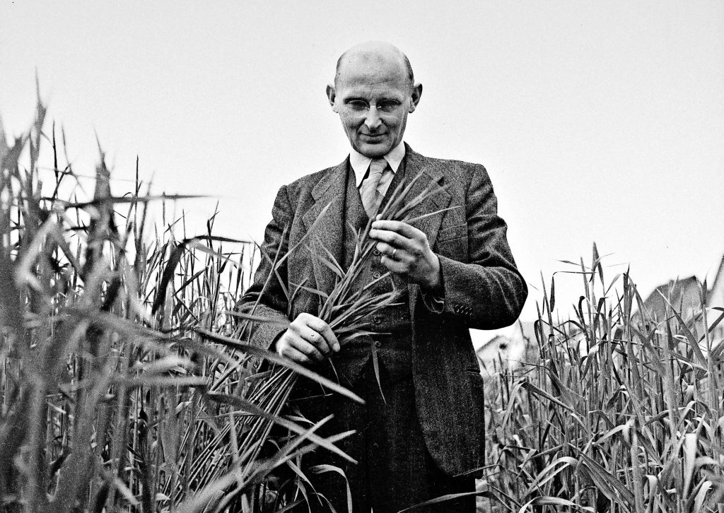 Friedrich Traugott Wahlen negli anni 30 era alla testa della Stazione federale della sperimentazione agricola a Zurigo Oerlikon (Keystone)