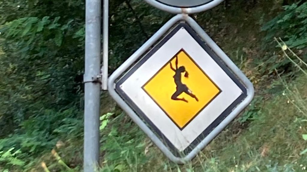 Il cartello situato all’altezza di Ponte Brolla, sulla strada verso Vallemaggia (Manuela Mazzi)