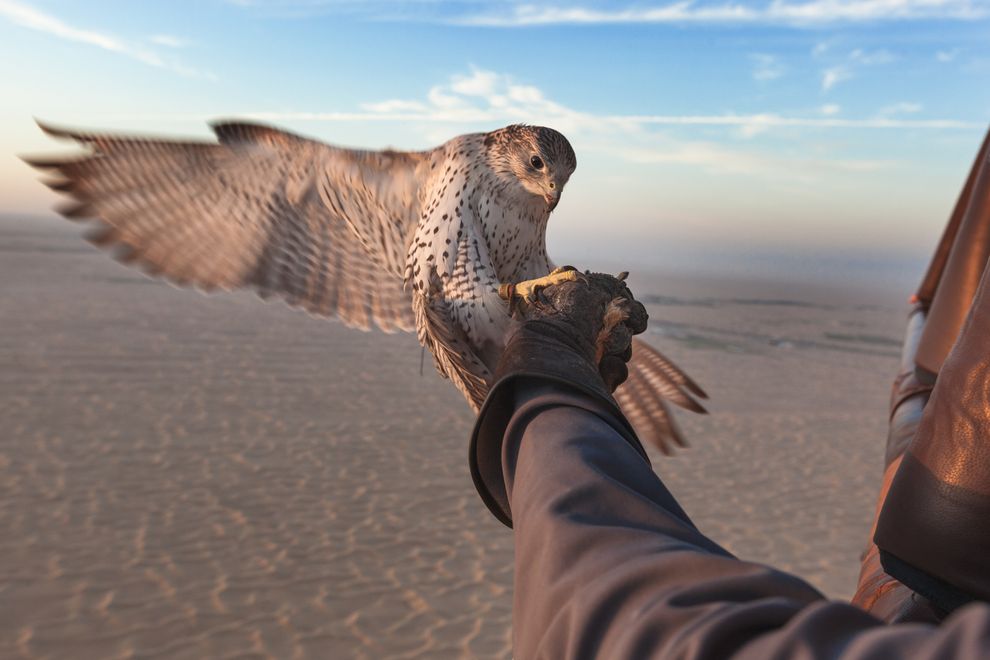 Alcuni lanci avvengono da mongolfiere (Didier Ruef)