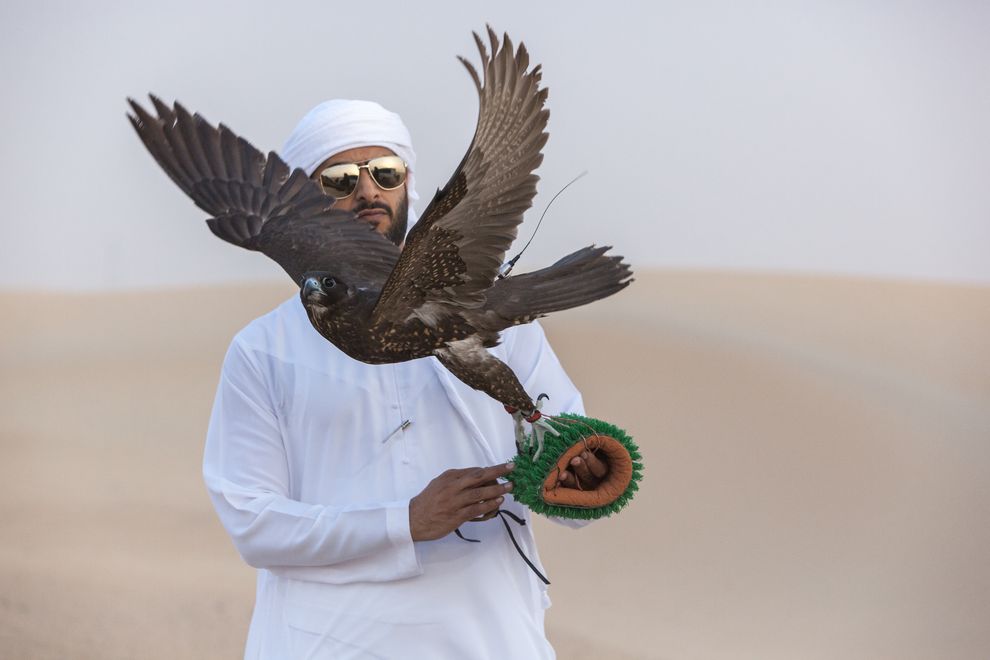 Gli uccelli sono molto curati perché costosi (Didier Ruef)