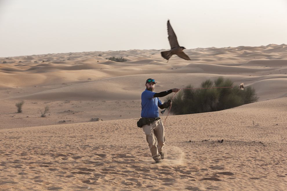 Le gare richiedono lunghi allenamenti (Didier Ruef)