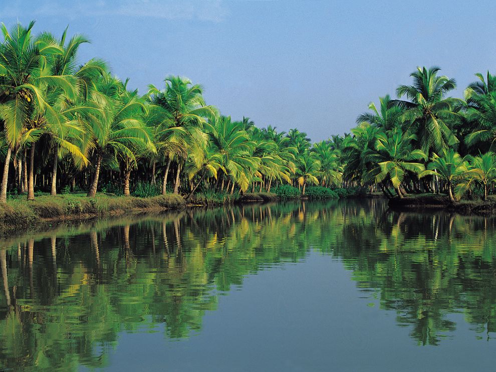 Il paesaggio delle Backwater del Kerala (Incredible India)