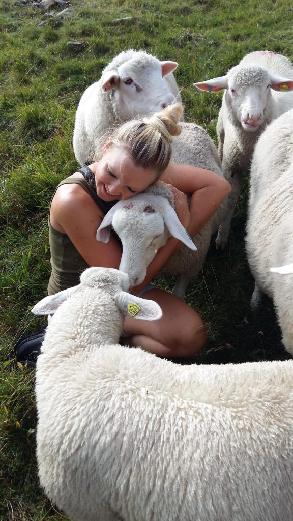 Con il lavoro in fattoria si può scoprire l’affascinante mondo degli animali (Famiglia Coretti Marisa, Plaun da Lei) 