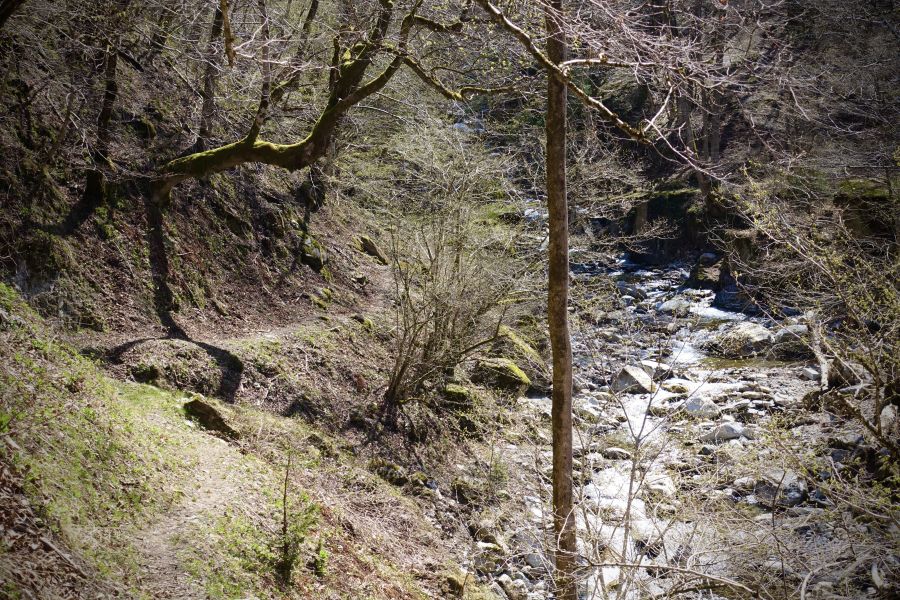 Il sentiero continua verso i Monti di Cò