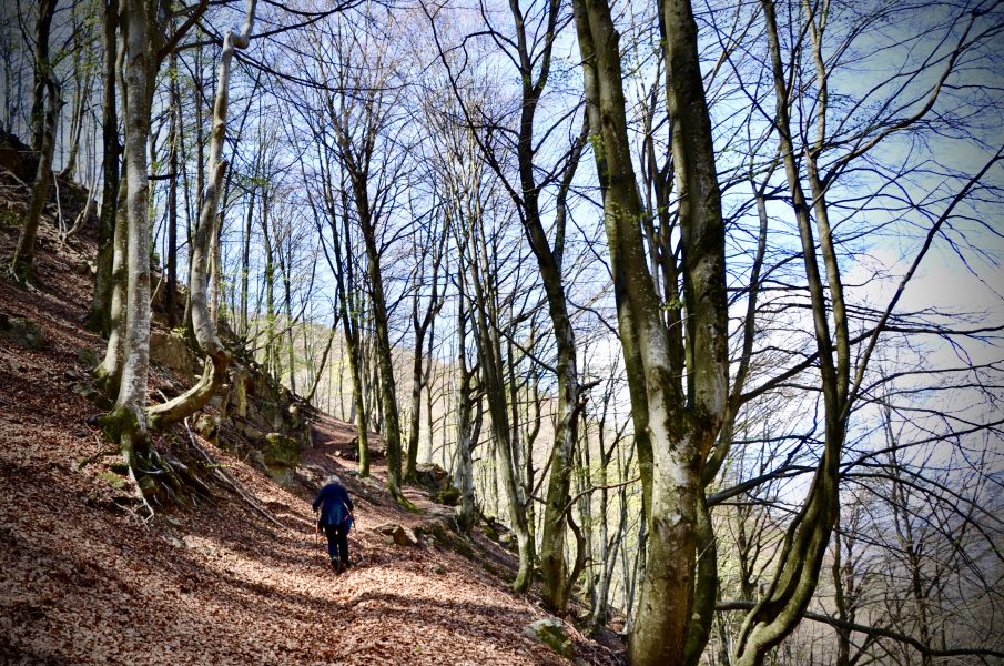 Salendo verso i Monti di Cò