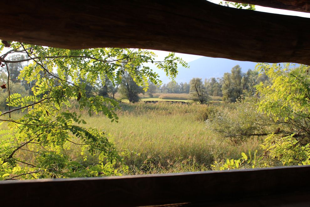 Le bolle di Magadino (E. Stampanoni)