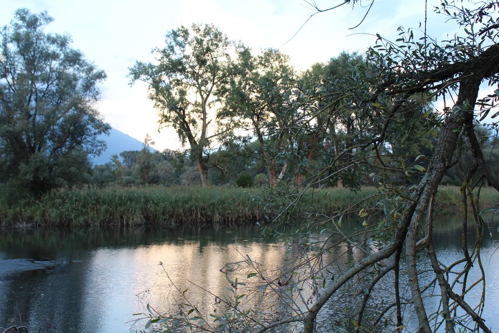 Le bolle di Magadino (E. Stampanoni)