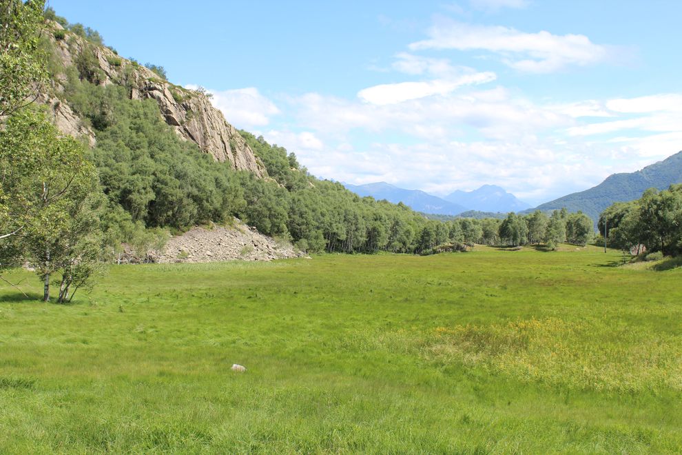 La torbiera di Gola di Lago (E. Stampanoni)