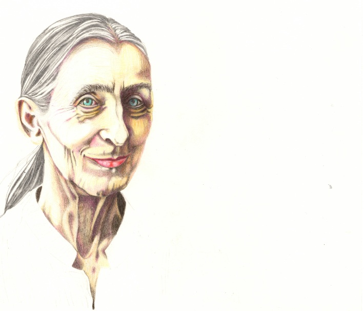 Seconda tappa della realizzazione dell'immagine di Pina Bausch da parte di Ledwina Costantini (Led)