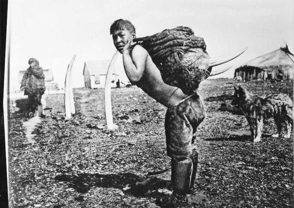 Un Ciukci trasporta una testa di tricheco (da Bogoras)