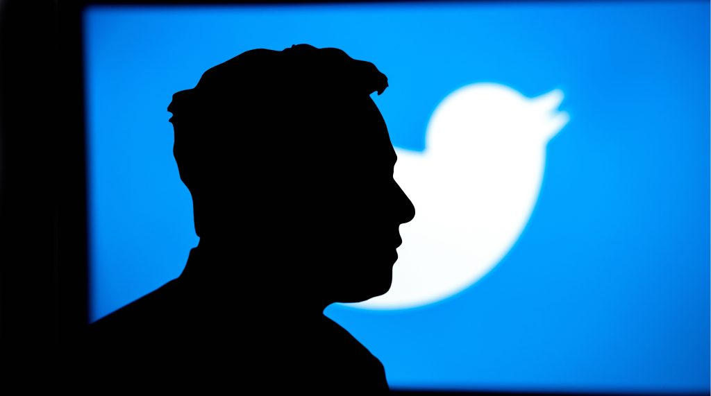 L’ombra di Musk sull’uccellino, simbolo di Twitter. To tweet in inglese significa cinguettare (Shutterstock)