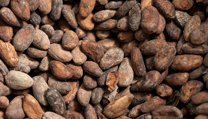 I preziosi frutti del cacao (Keystone)