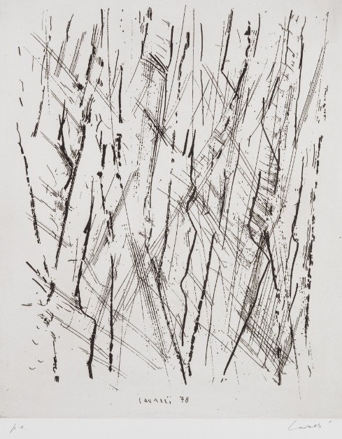 Massimo Cavalli, Senza titolo