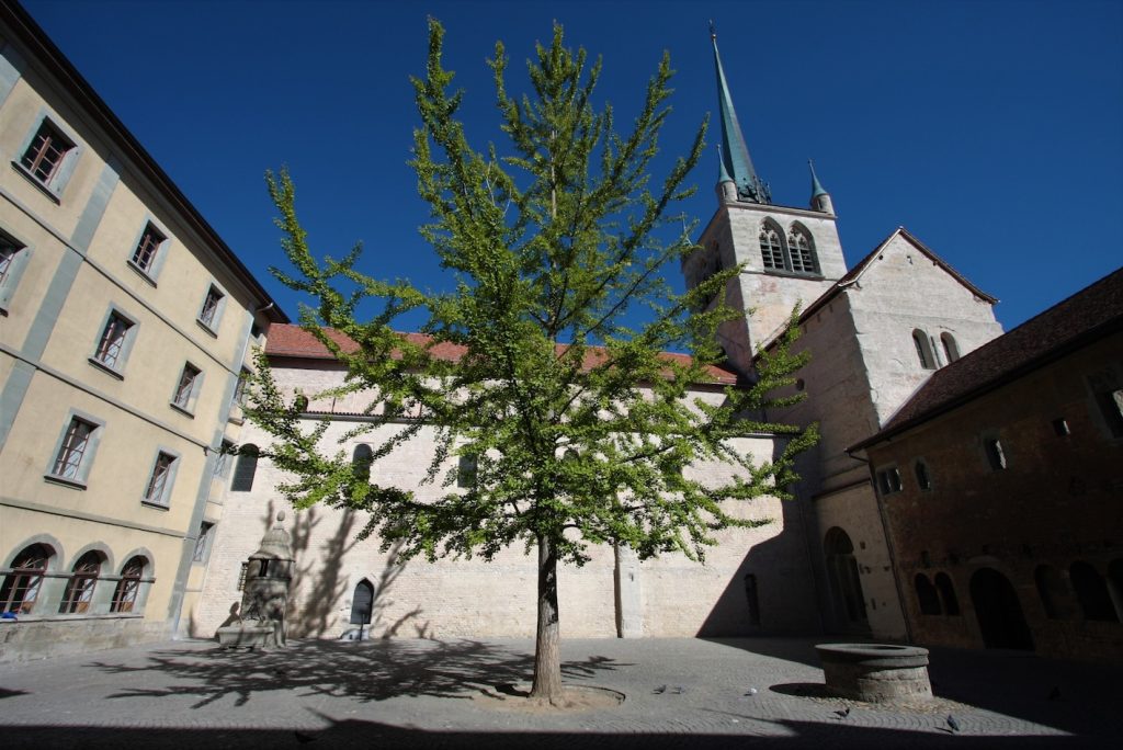 Il pozzo nell'ex chiostro del monastero benedettino di Payerne (T. Stiano)