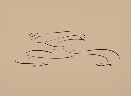 L'assistente, dettaglio di copertina