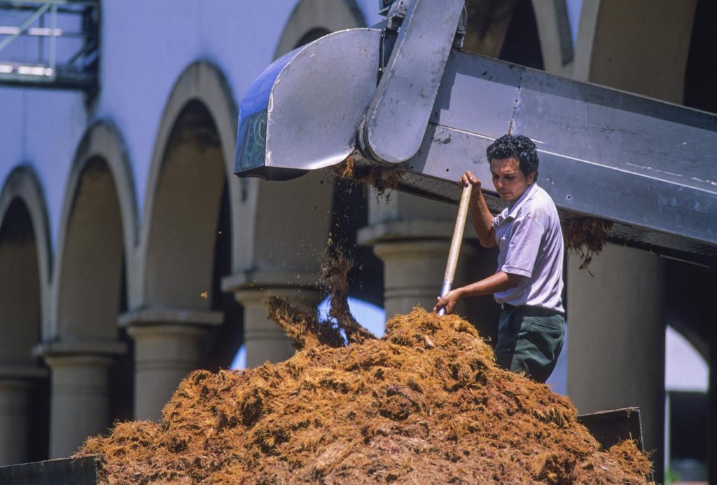 Alla distilleria di Tequila