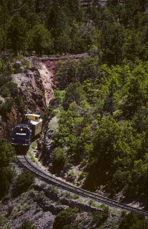 Copper Canyon (Barranca del Cobre; Canyon del rame): ferrovia panoramica da Chihuahua al Pacifico, tra Los Mochis e Chihuahua