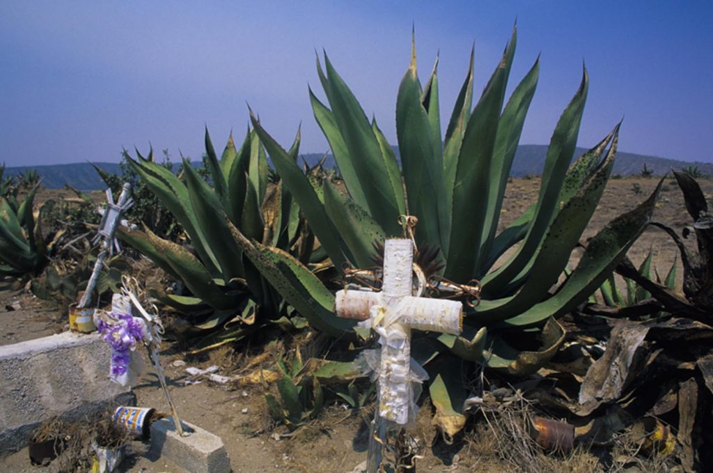 Croce che commemora la vittima di un incidente lungo la Ruta Cortés percorsa dei conquistadores
