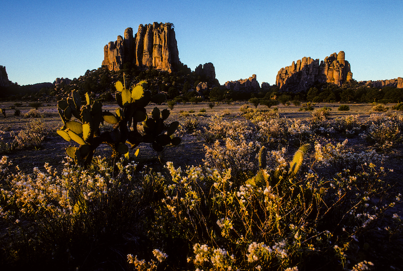 Sierra de Los Organos, tra Durango e Zacatecas
