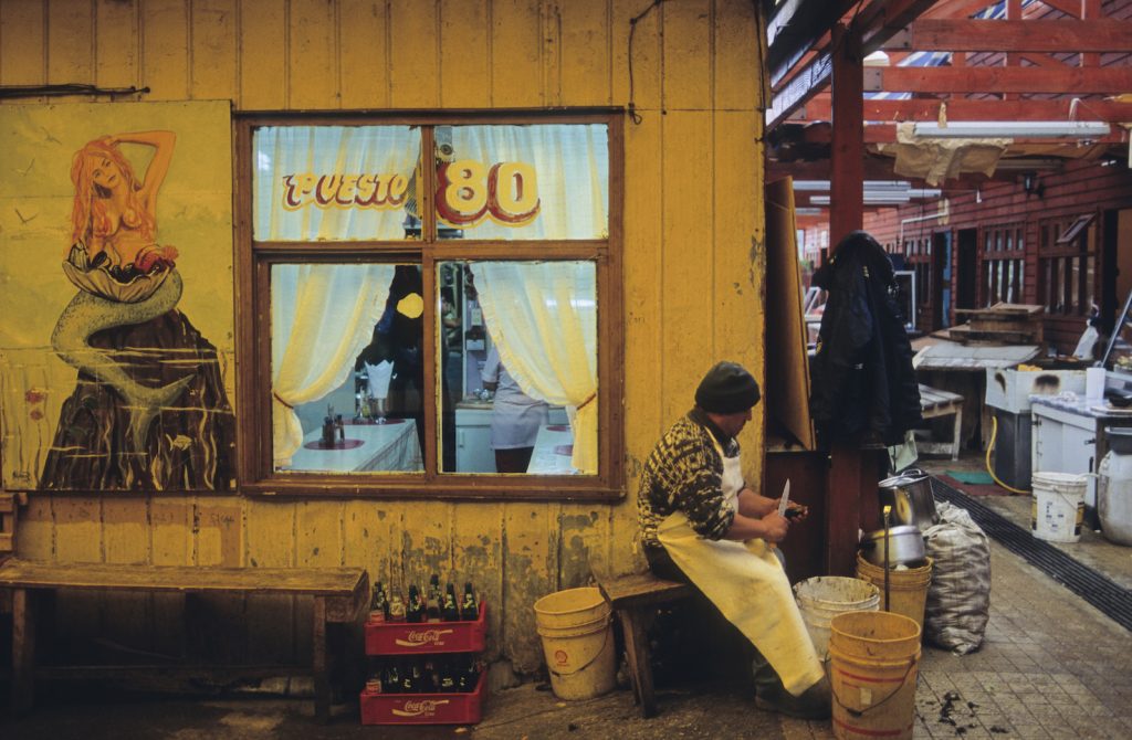 Puerto Montt, mercato del pesce di Angelmò, uno dei più tradizionali del paese