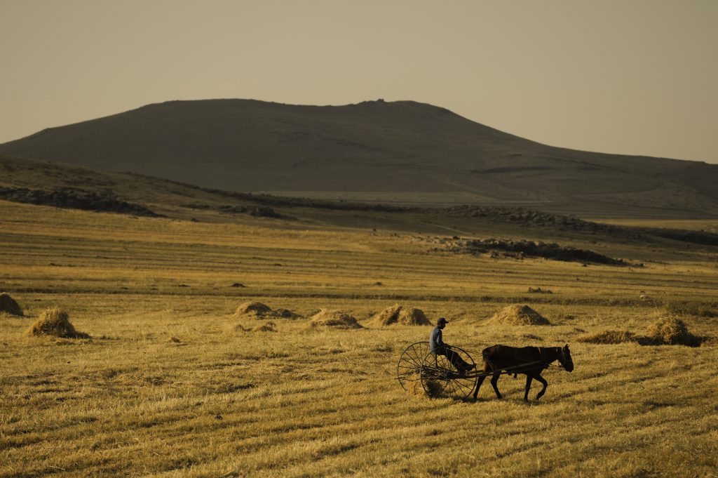 Paesaggi e pastori curdi vicino al confine tra Turchia e Armenia non lontano da Ani, città medievale in rovina e disabitata
