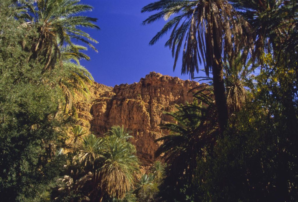 Tafraout, Gole di Aït Mansour, Oasi di Afella Aghir