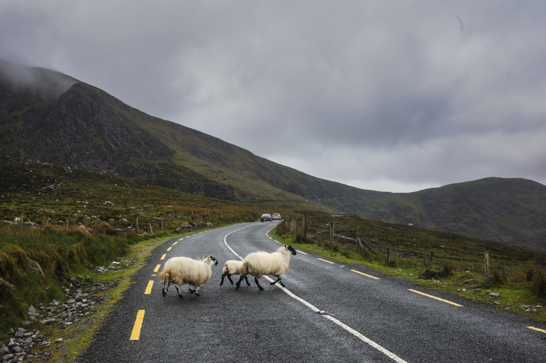 Dingle, paesaggio vicino al passo Connor