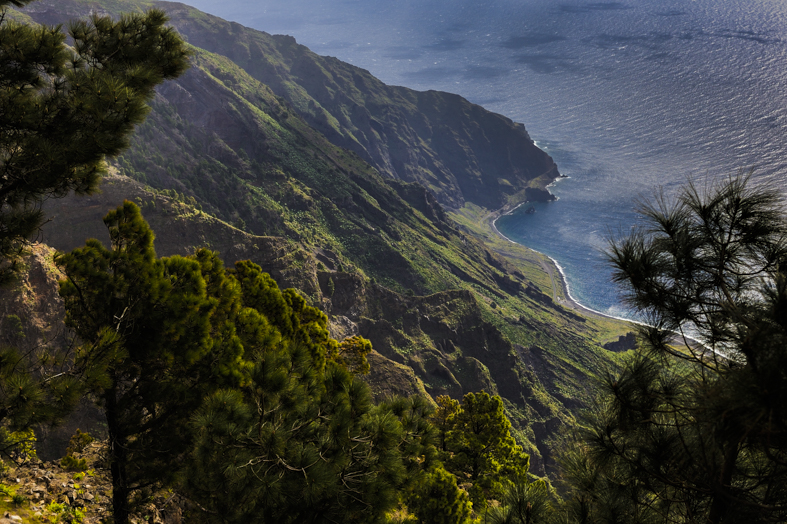 Punto panoramico vicino alla pineta di EL Pinar, la più importante delle Isole Canarie