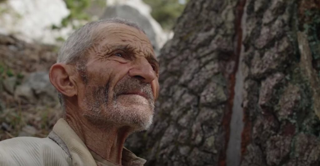 Dal trailer di Il buco, di Michelangelo Frammartino (YouTube)