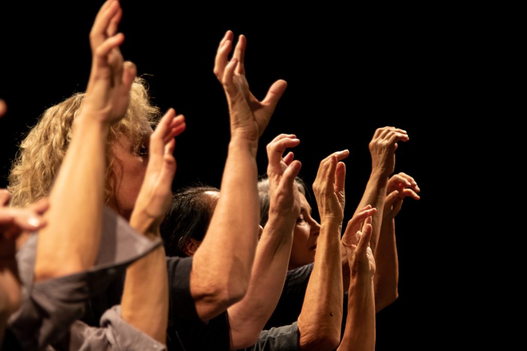 (Teatro delle Radici)