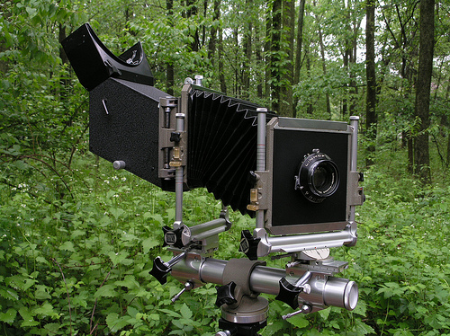 Una questione di... luce (wikipedia)