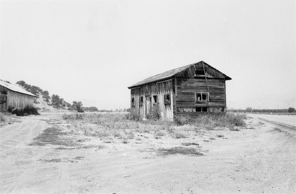 Dalla serie <i>Where I came from</i>, stampe dirette ai sali d’argento su carta baritata (Fondazione Rolla)