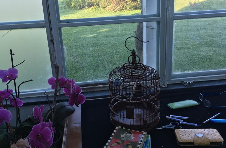 Natura fin dove l’occhio può arrivare: dalla finestra di Nadia Fusini