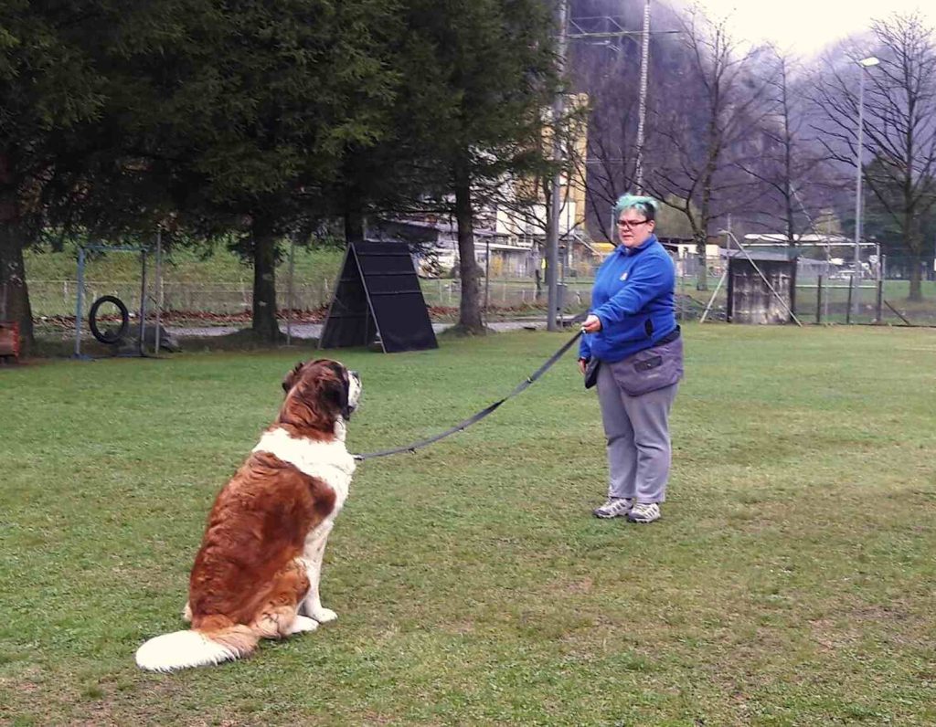 (Sheila Cappelletti)