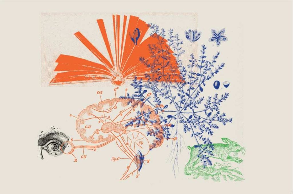 La locandina di Book is a Book is a Book, della compagnia Trickster-p