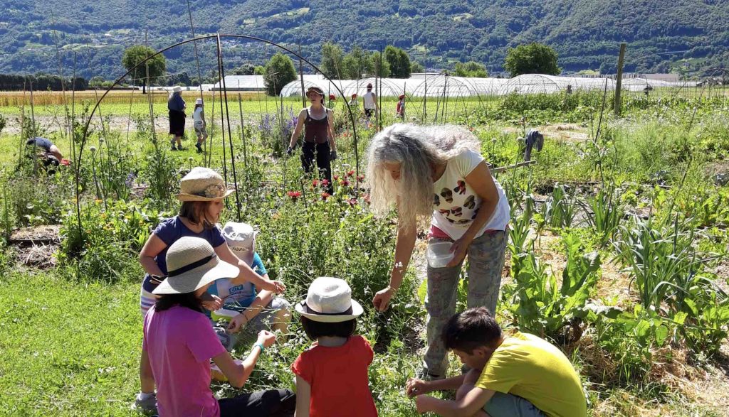 Imparare insieme a conoscere i frutti della terra (lortobio)