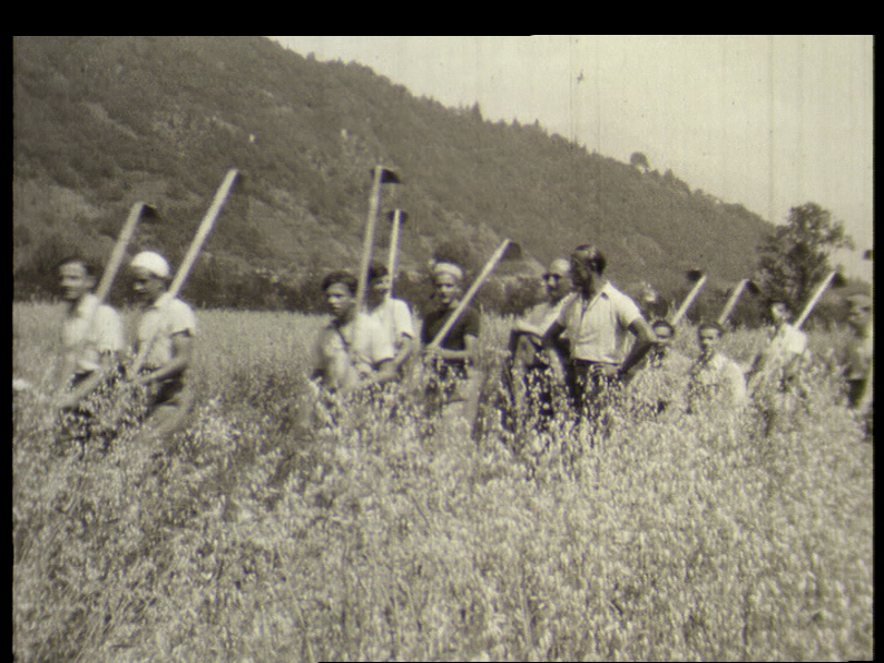 Operai al lavoro sul piano di Magadino, molti erano soldati internati polacchi (lanostrastoria.ch)