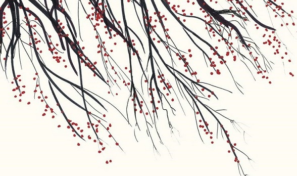 Dettaglio della copertina del nuovo libro di Nadia Terranova