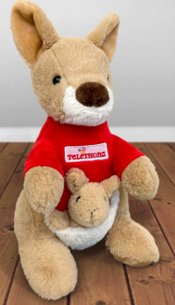 La nuova mascotte Telethon è Jumpy. Sarà disponibile dal mese di dicembre presso le nostre manifestazioni e sul sito ufficiale.
